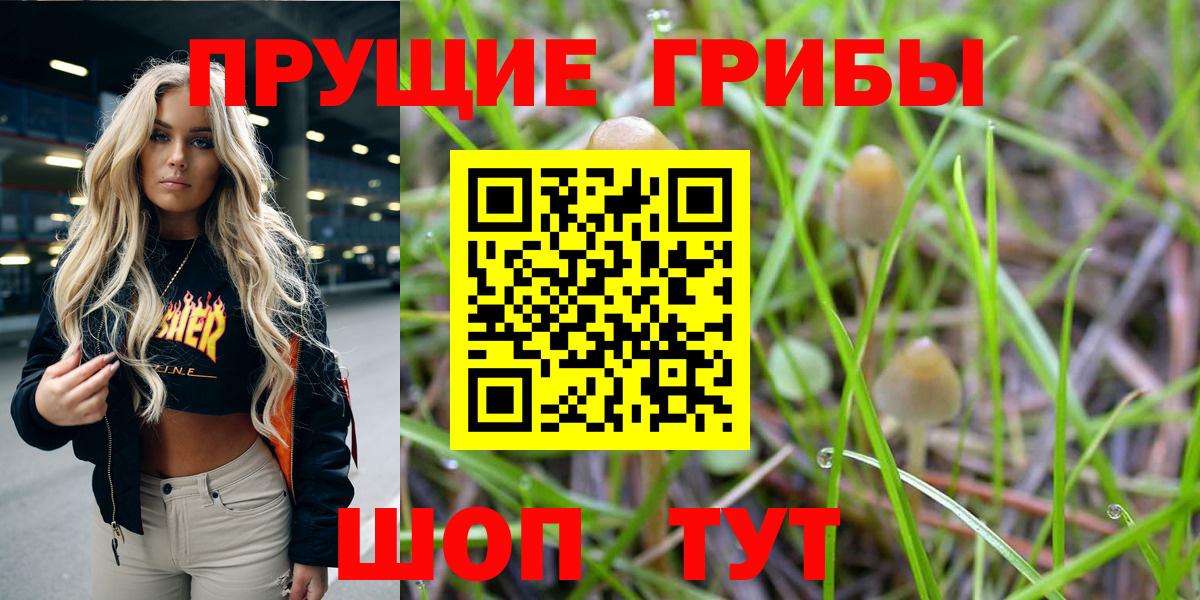 Галлюциногенные грибы Magic Shrooms Комсомольск-на-Амуре