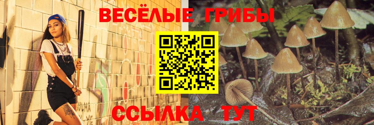 Галлюциногенные грибы Magic Shrooms  Галлюциногенные грибы Magic Shrooms  Комсомольск-на-Амуре  что такое   Вход с VPN 